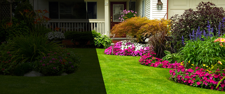 Odon Landscapers