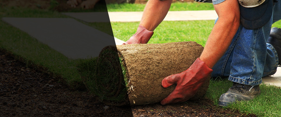 Odon Landscapers